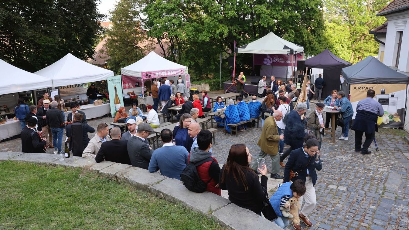 „A jó kedv és a jó bor sok mindent kisimít” – Elstartolt a 14. Avasi Borangolás...