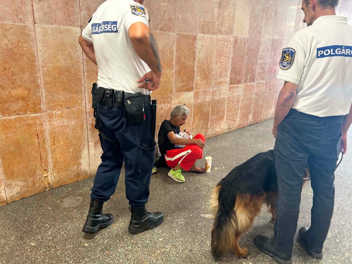 Kéregetőt kapcsoltak le a polgárőrök az aluljáróban