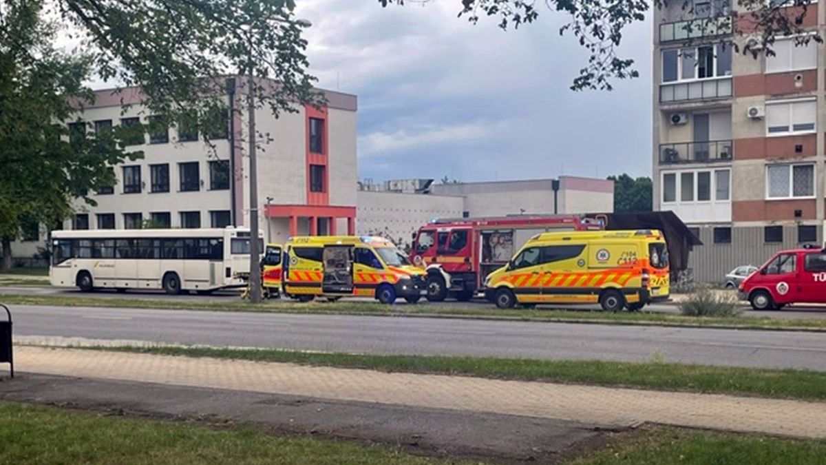 Borzalmas baleset Kazincbarcikán: elindult a busz, magával rántva egy idős nőt