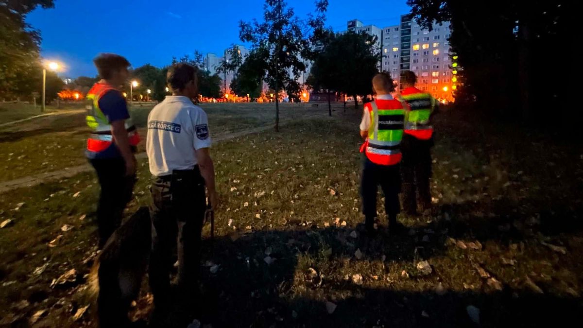 Akcióban a polgárőrök! Meglátták, mit csinál egy társaság a diósgyőri házaknál, itt azonnal intézkedni kellett