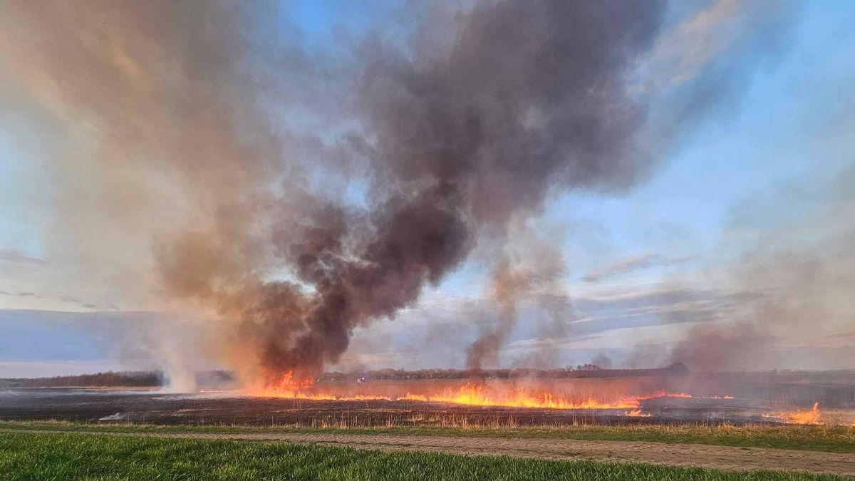 Hatalmas bálatűz Borsodban! Több város tűzoltói küzdenek a lángokkal