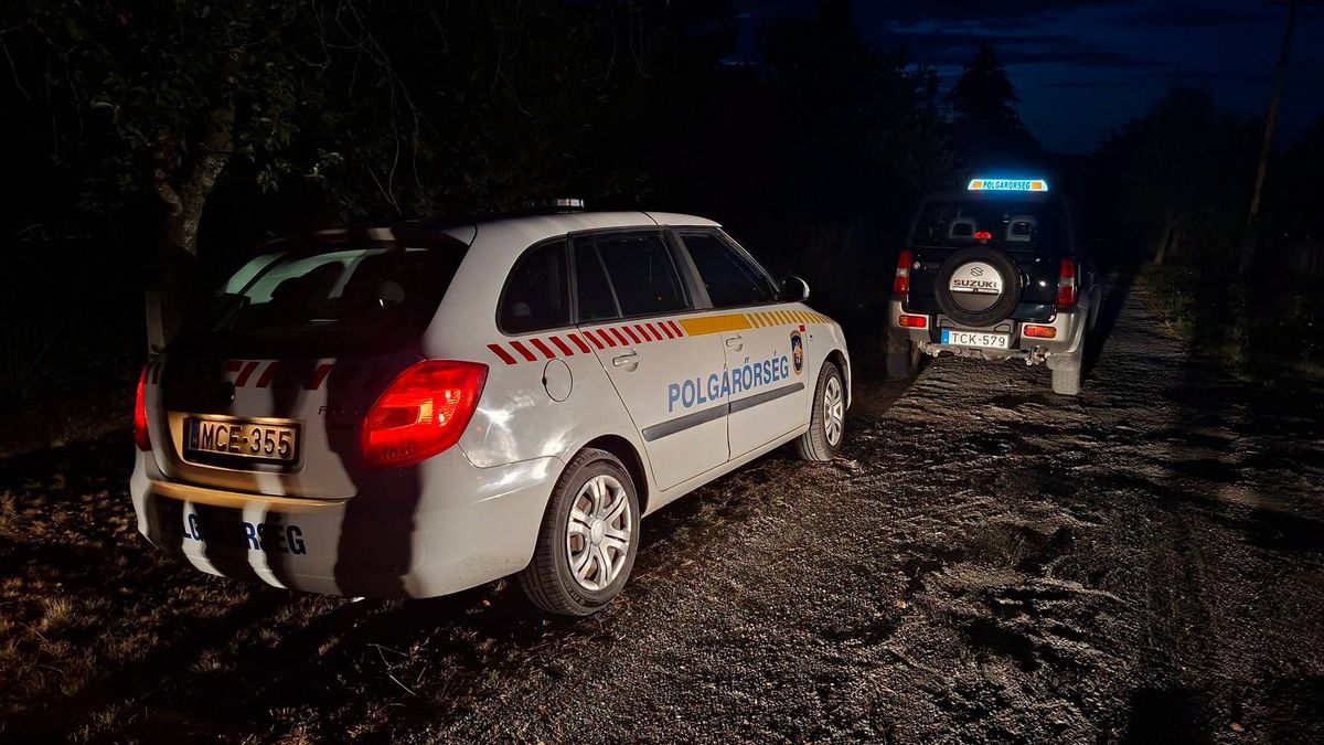 Nagyszabású akció a Pingyomon: illegális áramvételezőkre és hulladékhalmozókra csaptak le