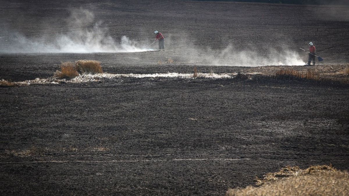 Több hektár terület égett Borsodban, méhkaptárak is odavesztek tűzben