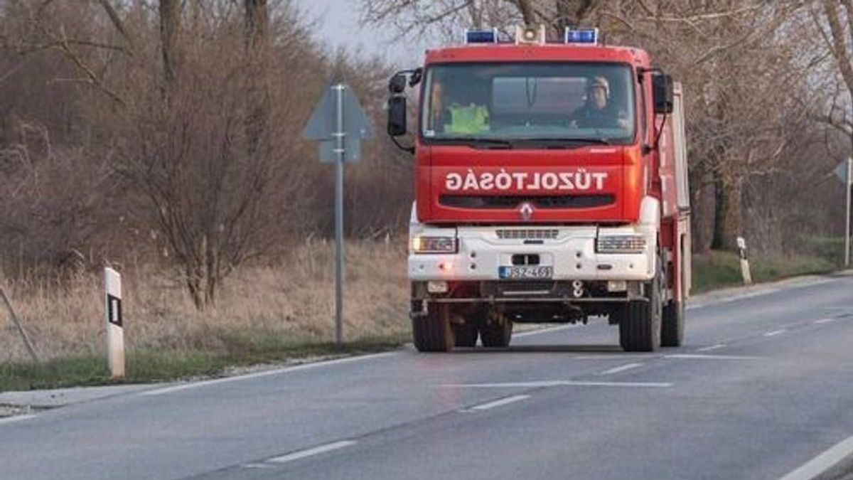 Fának csapódott egy személyautó Bükkaranyosnál