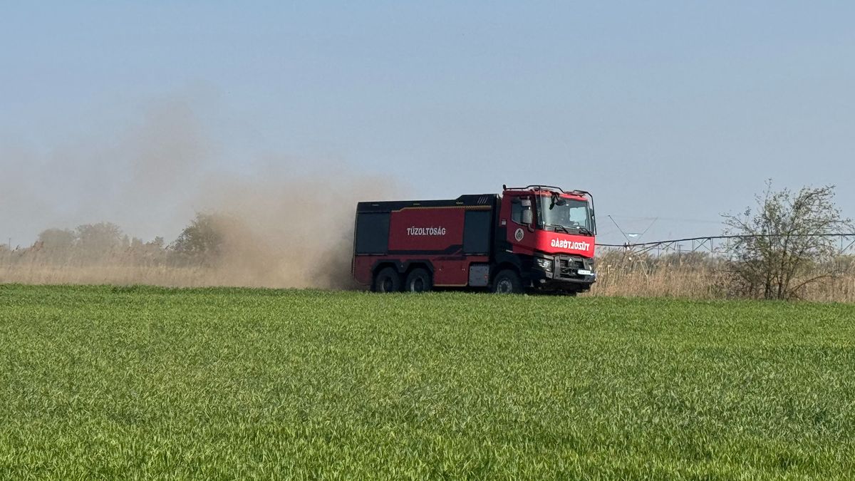 Újabb tűz Borsodban! Harminchektárnyi erdő és fű ég