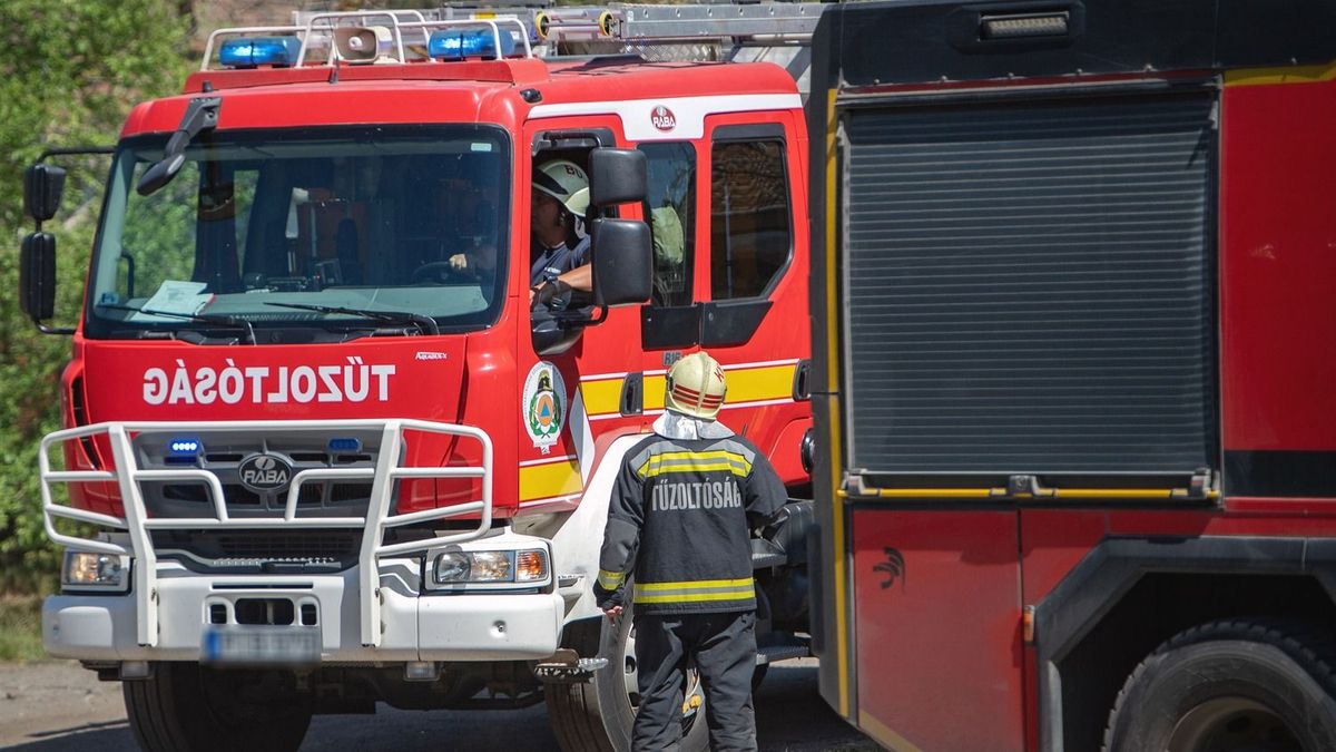 Tűz ütött ki Miskolc határában, a szél is nehezíti az oltást