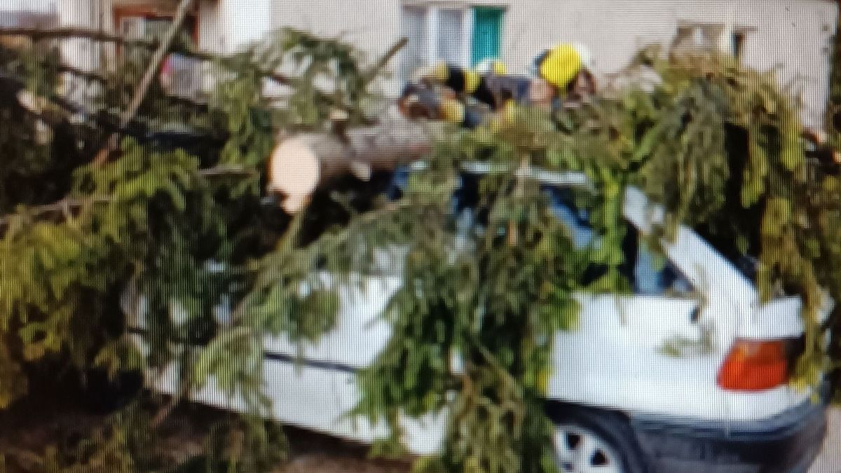 Fák dőltek az utakra és vezetékekre, mozgalmas napjuk volt a borsodi tűzoltóknak
