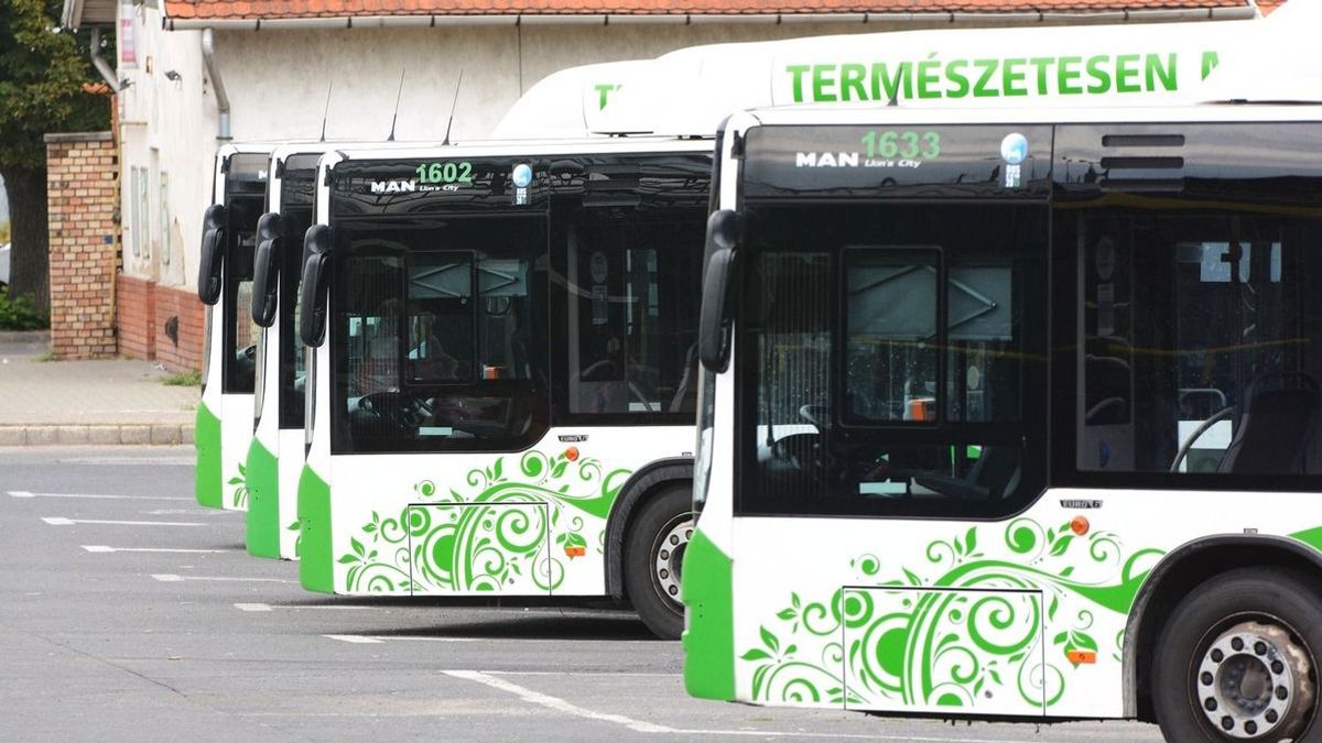 Felszállt egy csapat nő a tapolcai buszra, ami ezután történt, a sofőr napját is megváltoztatta
