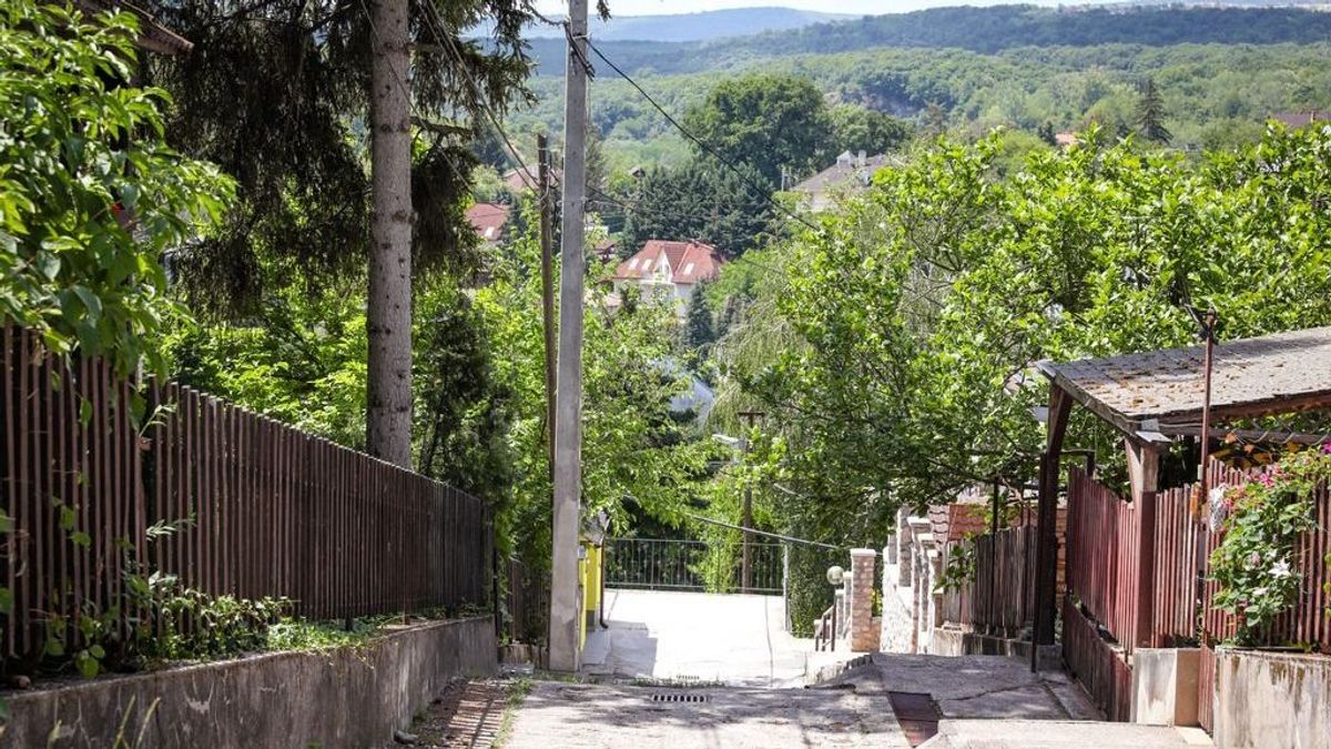 Tényleg létezik a „jobb oldali kerítés” szabály? Így kerüld el a telekhatár miatti szomszédvitát