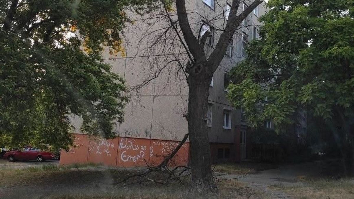 Balesetveszélyes, korhadt fa veszélyezteti az autót a parkolóban? Mutatjuk, mit lehet tenni
