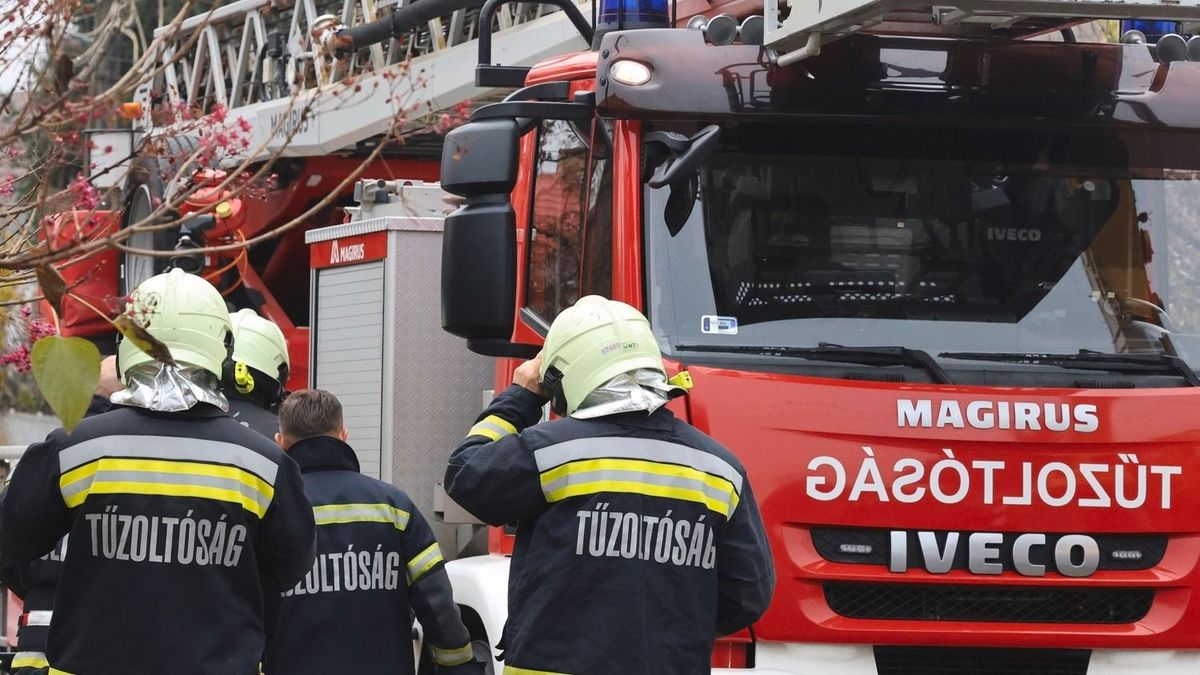 Kigyulladt a száraz gaz, órák óta küzdenek a lángokkal a borsodi tűzoltók