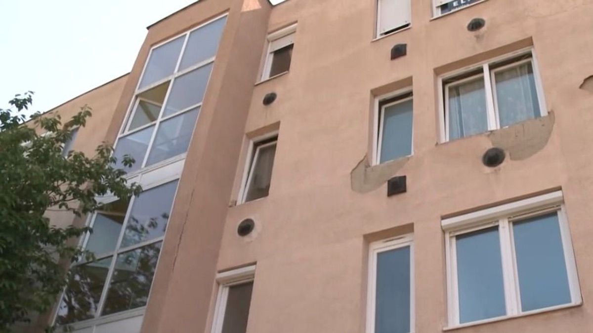 Napokig ugatott és nyüszített egy magára hagyott kutya egy miskolci albérletben