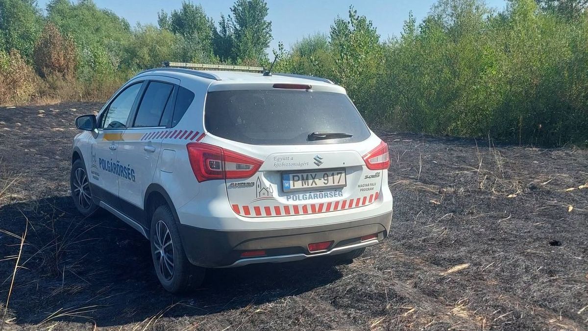 Óriási terület égett Borsodban a lakóházak mellett - tűzoltók is a helyszínre siettek (videóval)