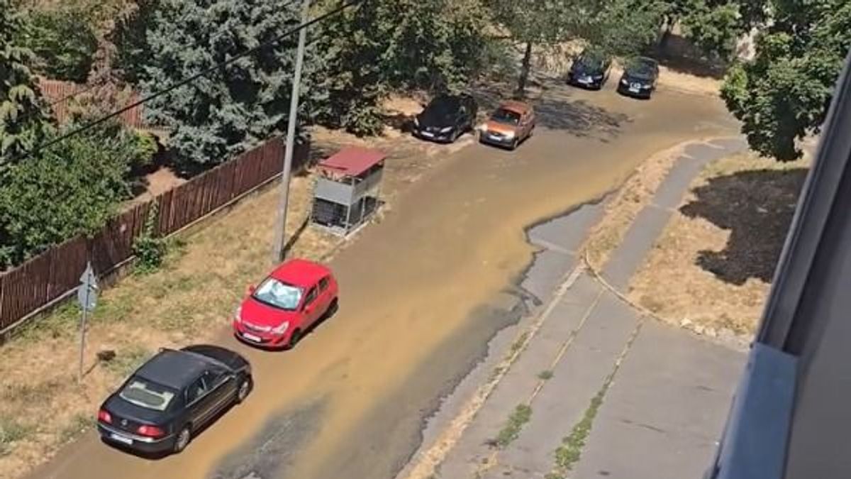 Kiderült, mitől állt a víz az Avason
