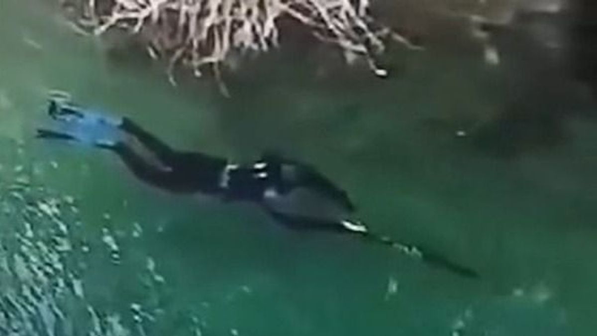 Vígjátékban nincs ilyen jelenet! Búvárruhában és nyílpuskával indult el horgászni Borsodban egy férfi – videóval