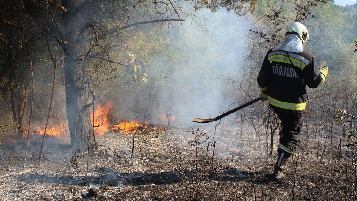 Hatalmas tűz Borsodban: Három város tűzoltói küzdöttek a lángokkal