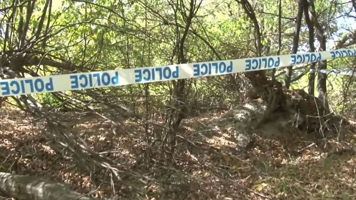 Rendőrök zártak le egy területet a Bükkben! Most derült ki, mit találtak a fák között gombászás közben – videóval