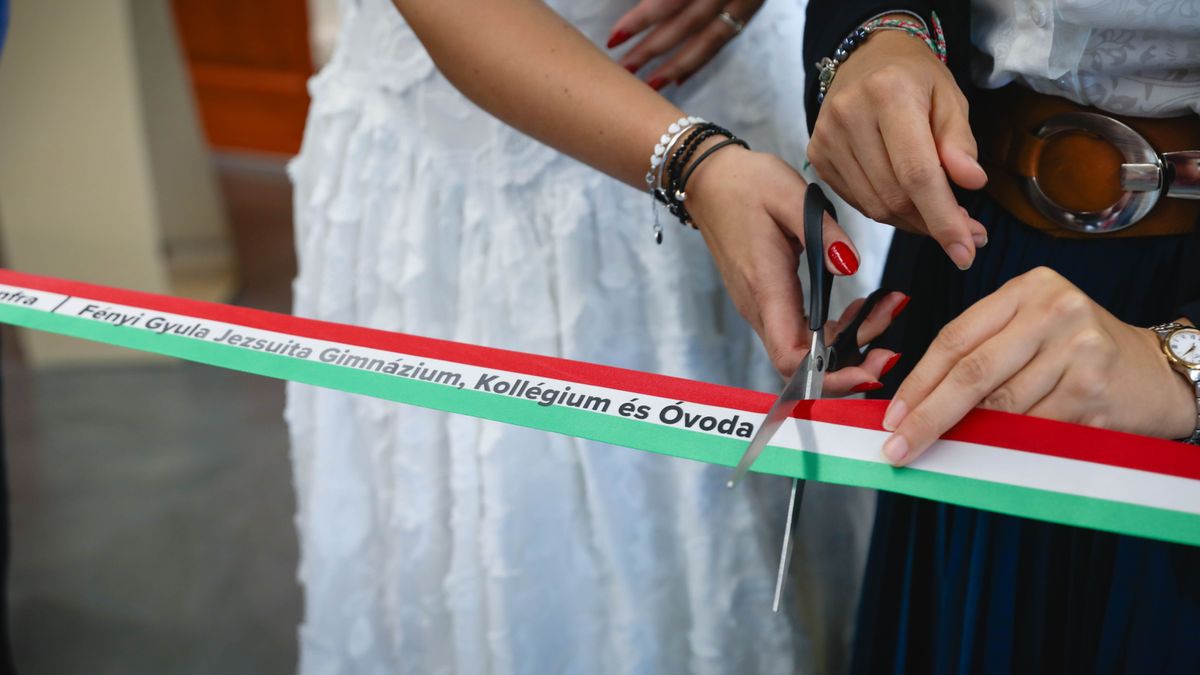 Nem festmény került egy miskolci gimnázium falára – szó szerint élet borítja - képekkel