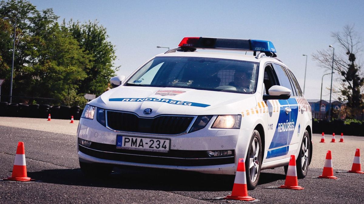 Rögtön szemet szúrt a gyanús férfi a borsodi erdőben! Nem találod ki, mit akart elvinni onnan – fotóval