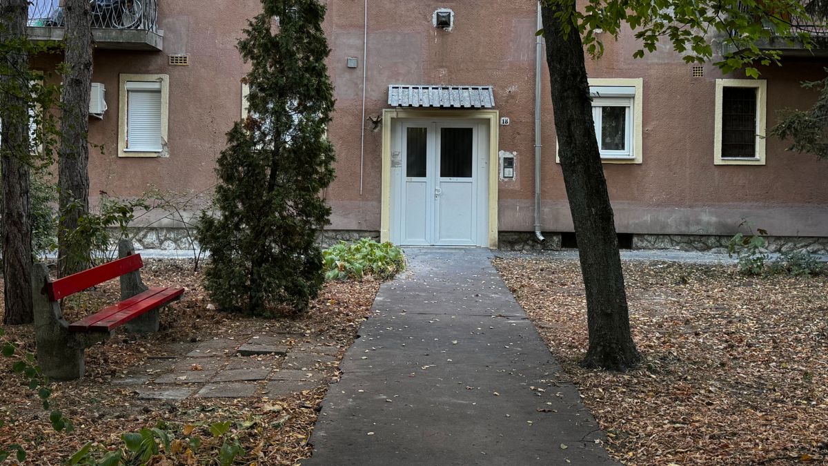 „Rutinmunka volt ez már nálam” – A miskolci tanárnő, aki négy éven át csak szült és ölt