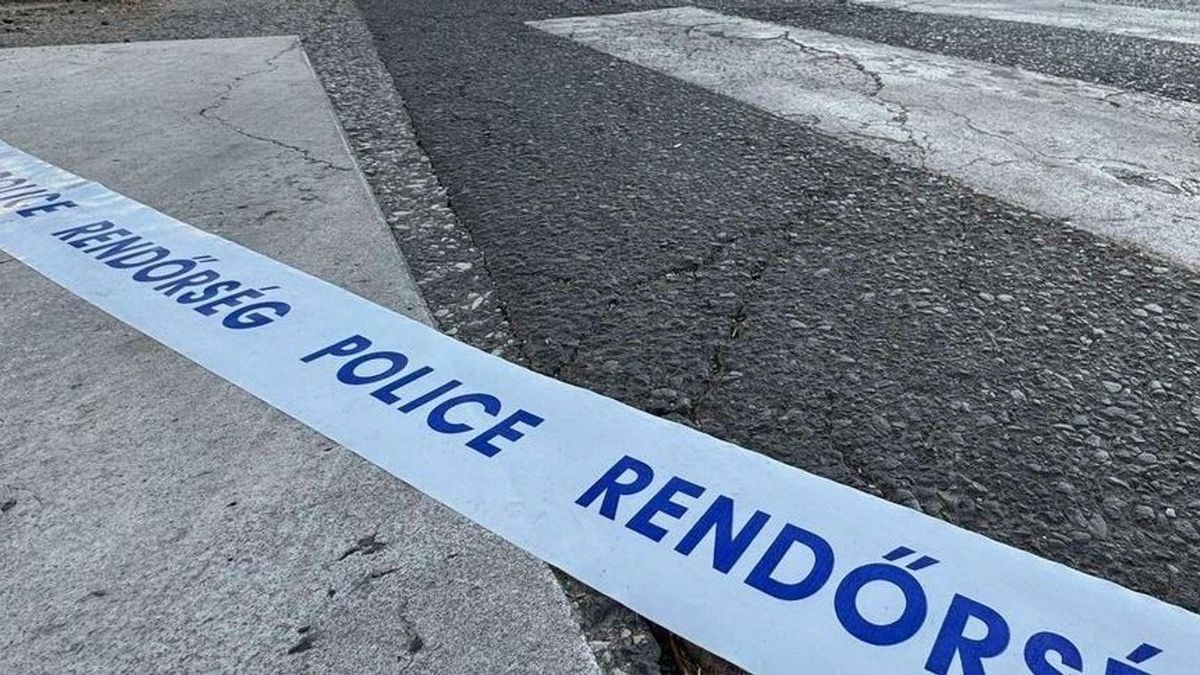 Először fojtogatni kezdte, majd átvágta a torkát! Felkavaró ügyet tárgyalnak Miskolcon