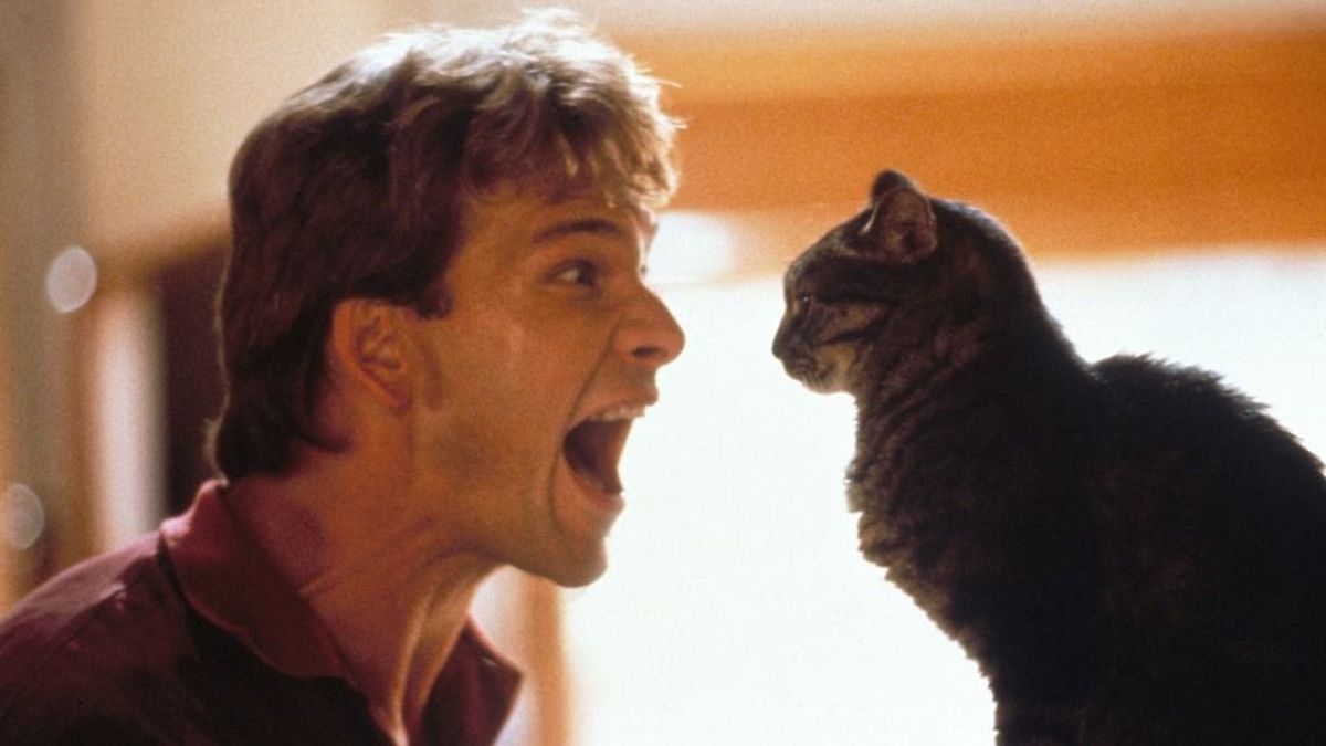 Csak az igazi rajongók emlékeznek mindenre Patrick Swayze életéből – Kvíz