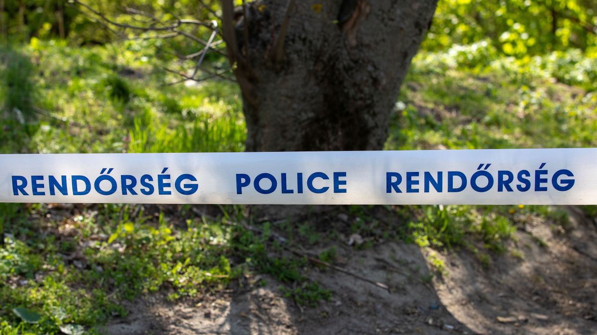 Fontos! Kiderült, milyen lövedékeket találtak a Bükkben