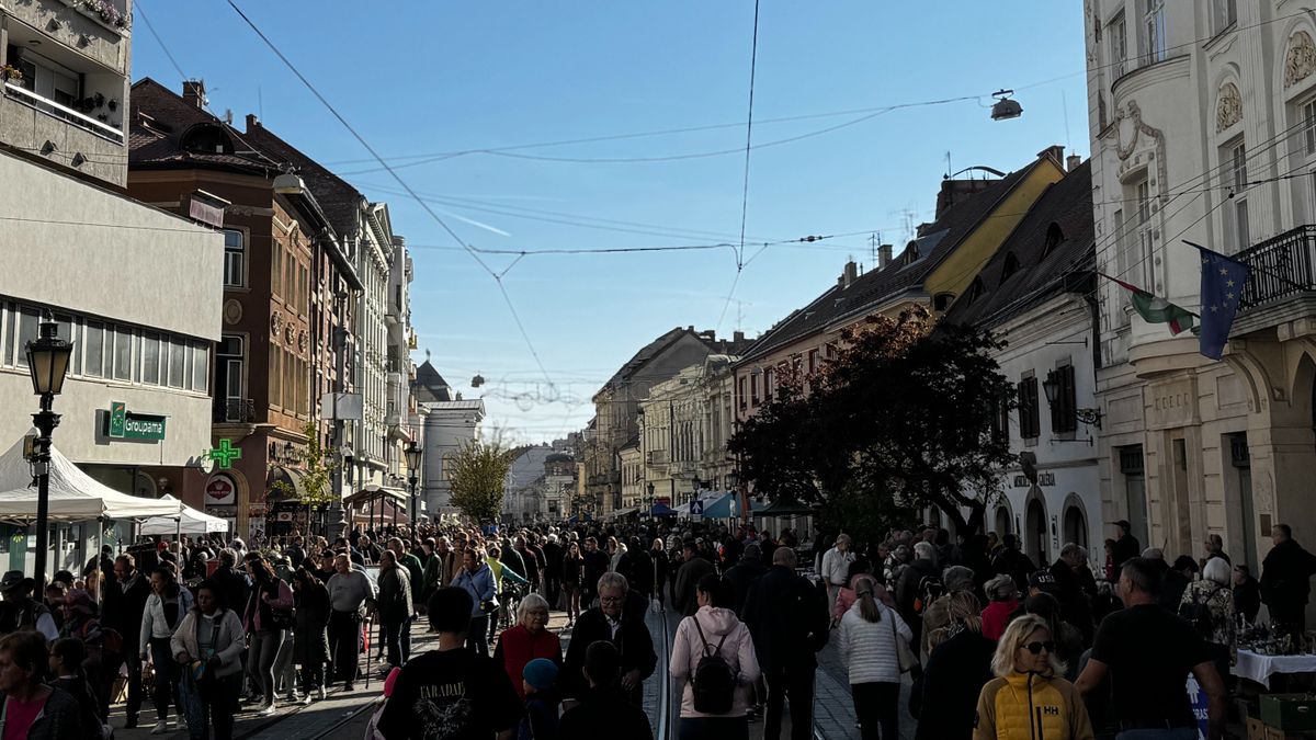 Veterán autók és drága focisták is érkeztek – ilyen volt az októberi régiségvásár Miskolcon