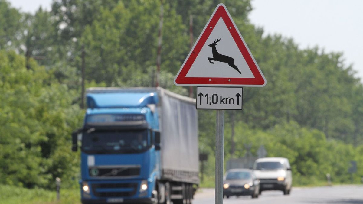 Vadveszély Borsodban! Fotókon, ahogy egy őz éppen az „áldozatát” várja